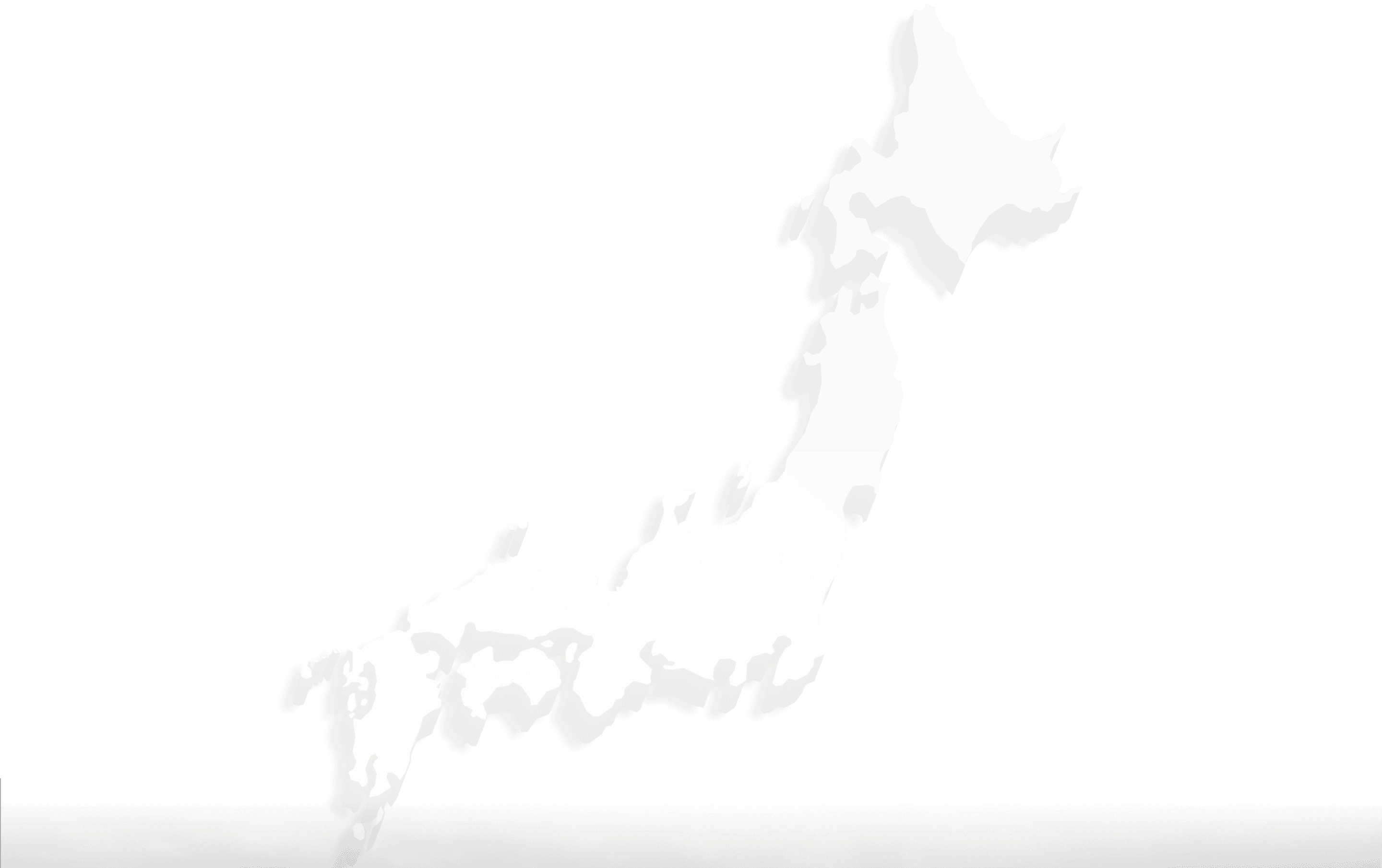 蕾