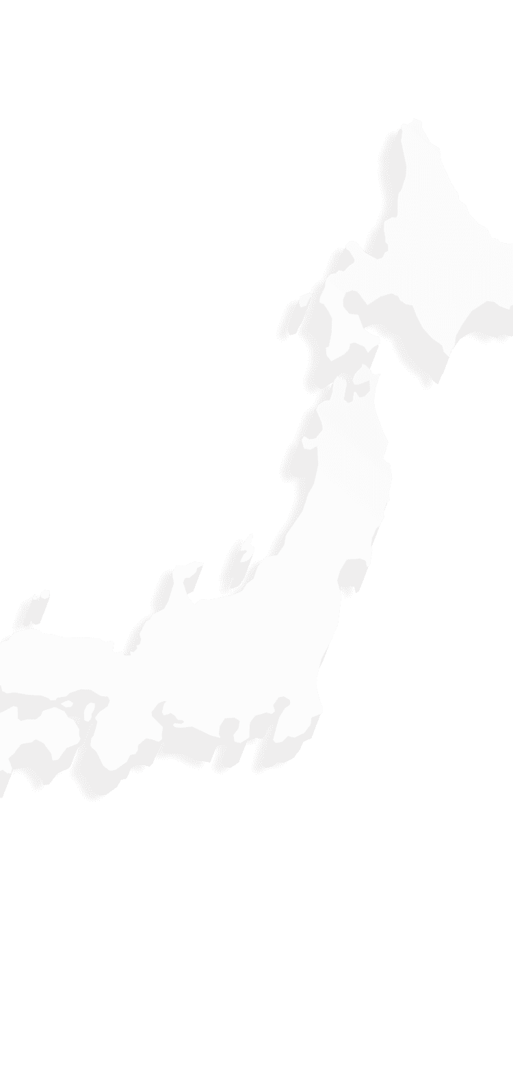 蕾