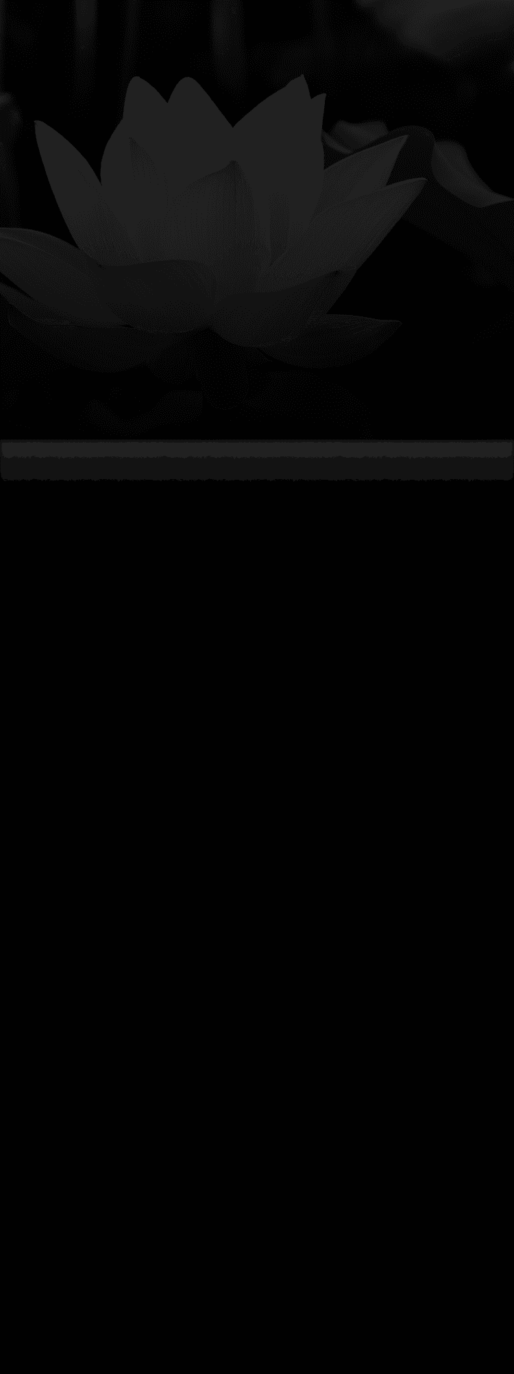 蕾