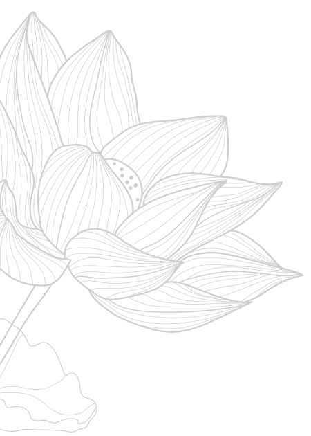 蕾